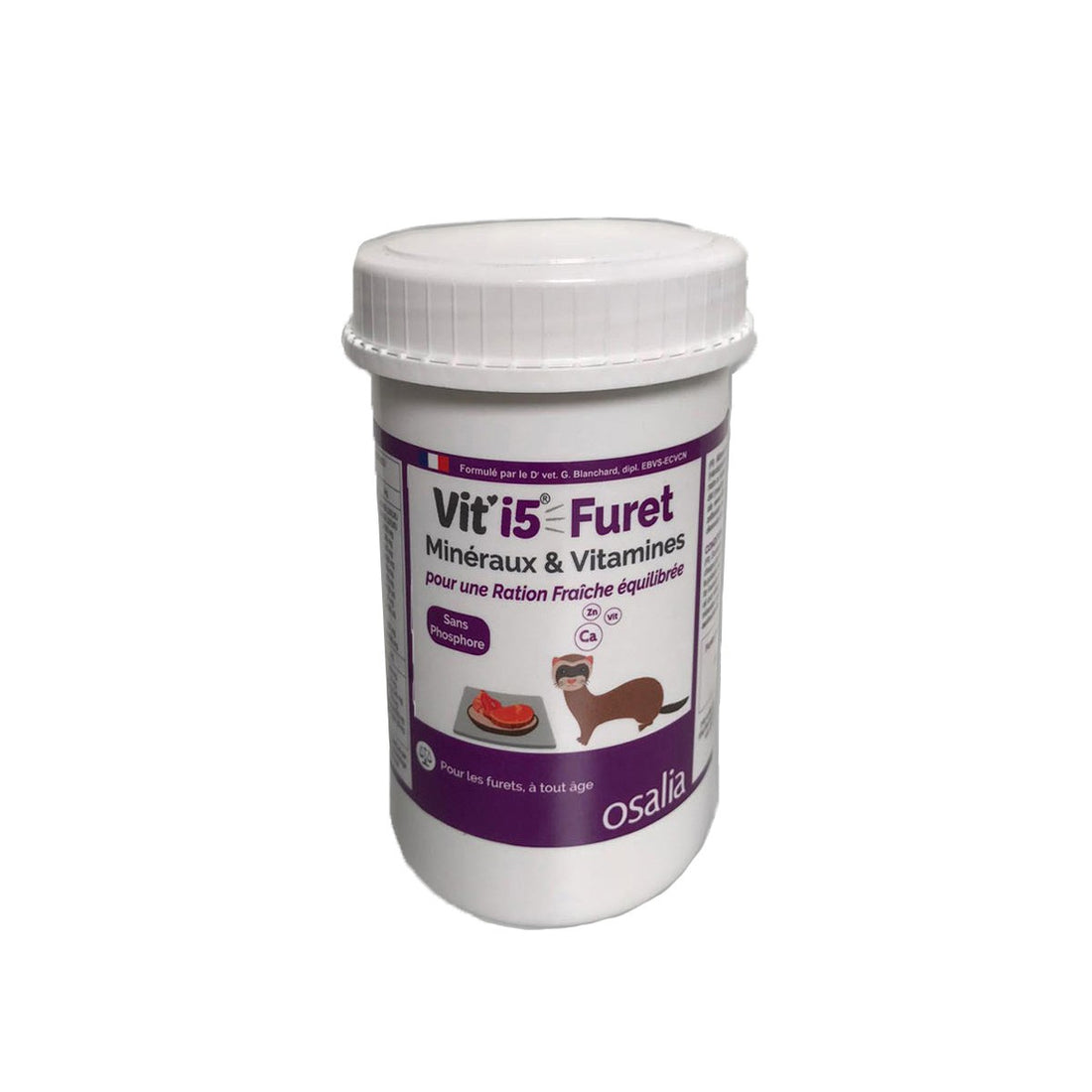 Violet - Furet de tout âge