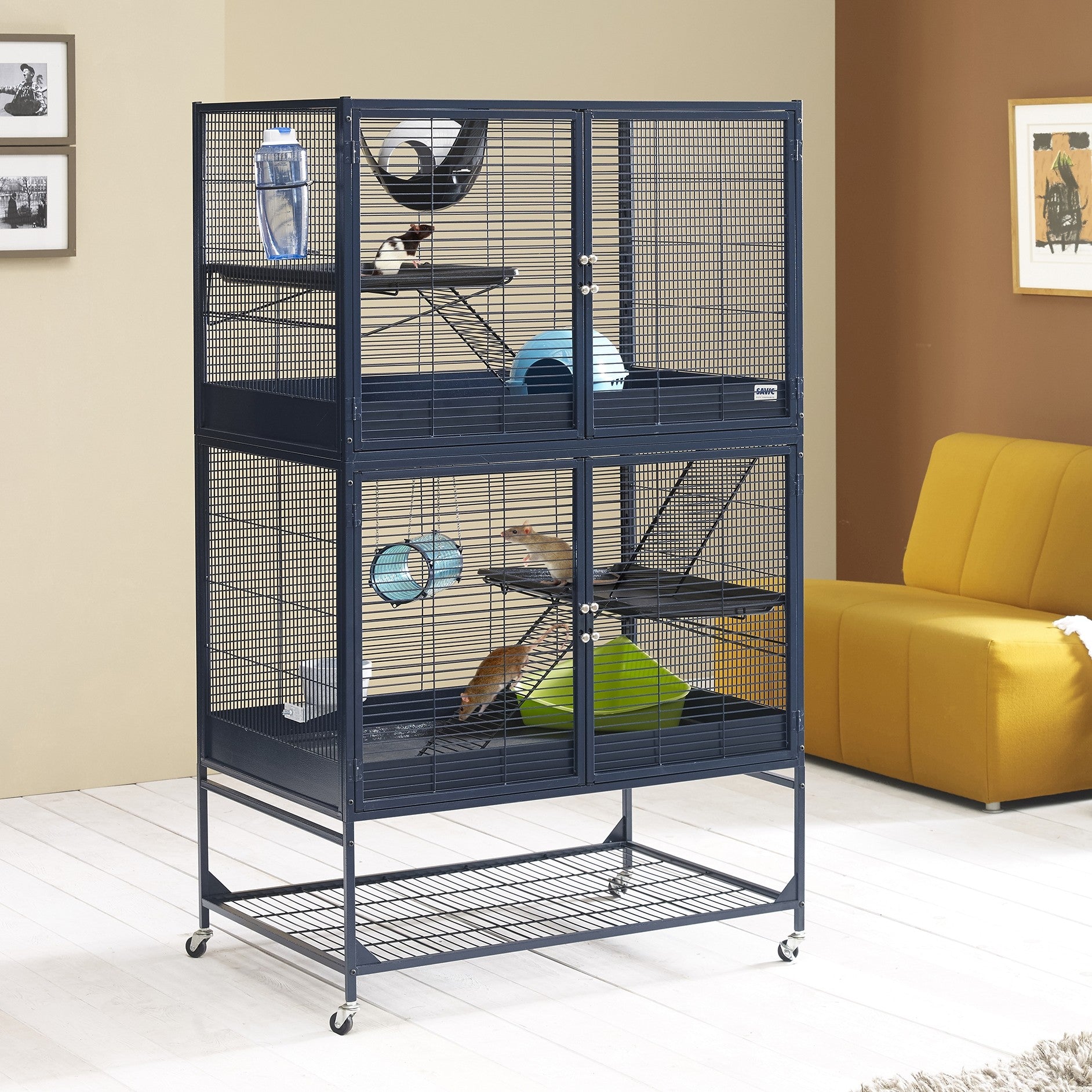 Cage Suite Royal