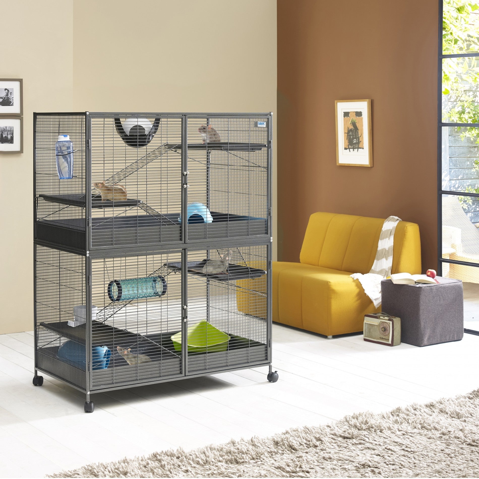 Cage suite royal XL