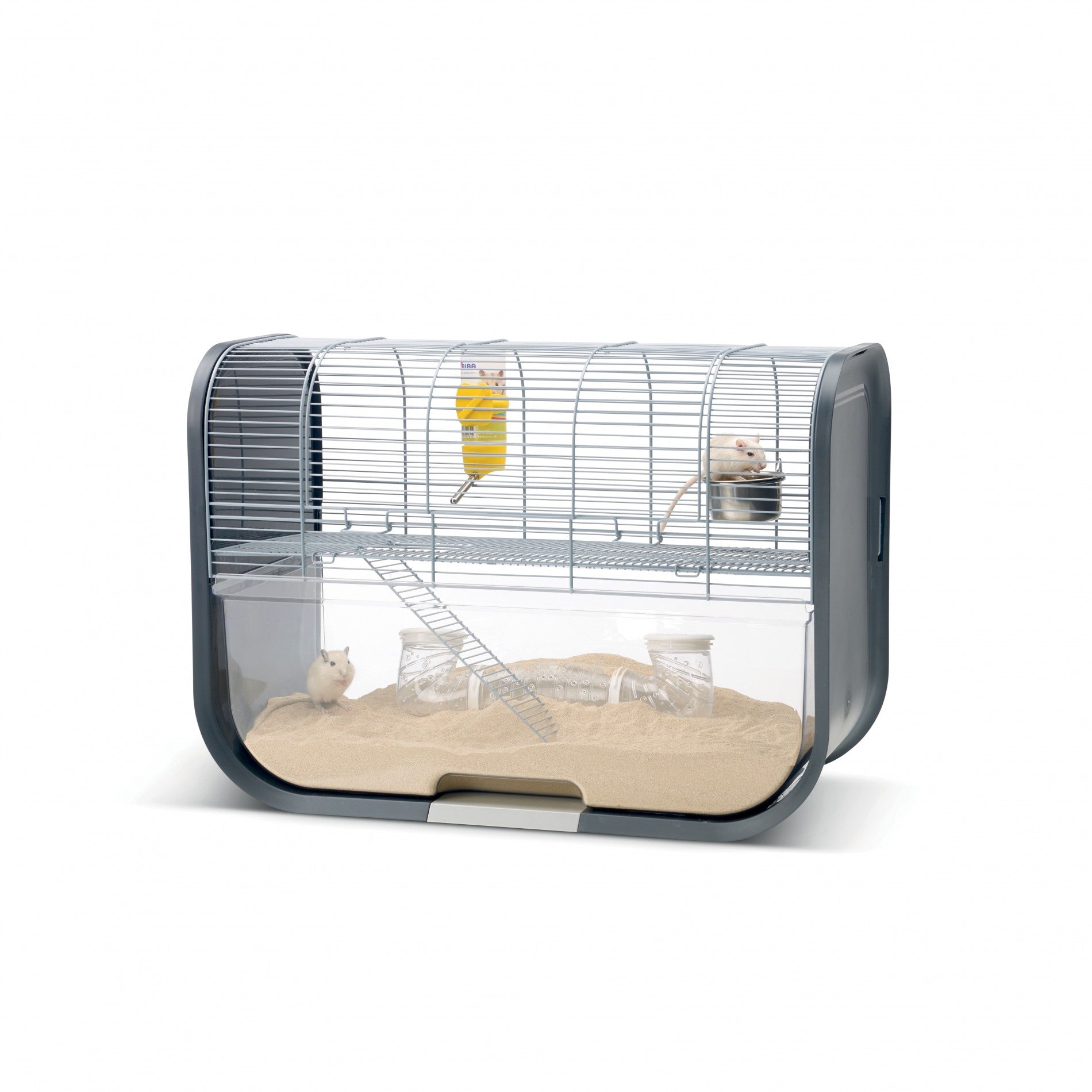 Cage Lugano