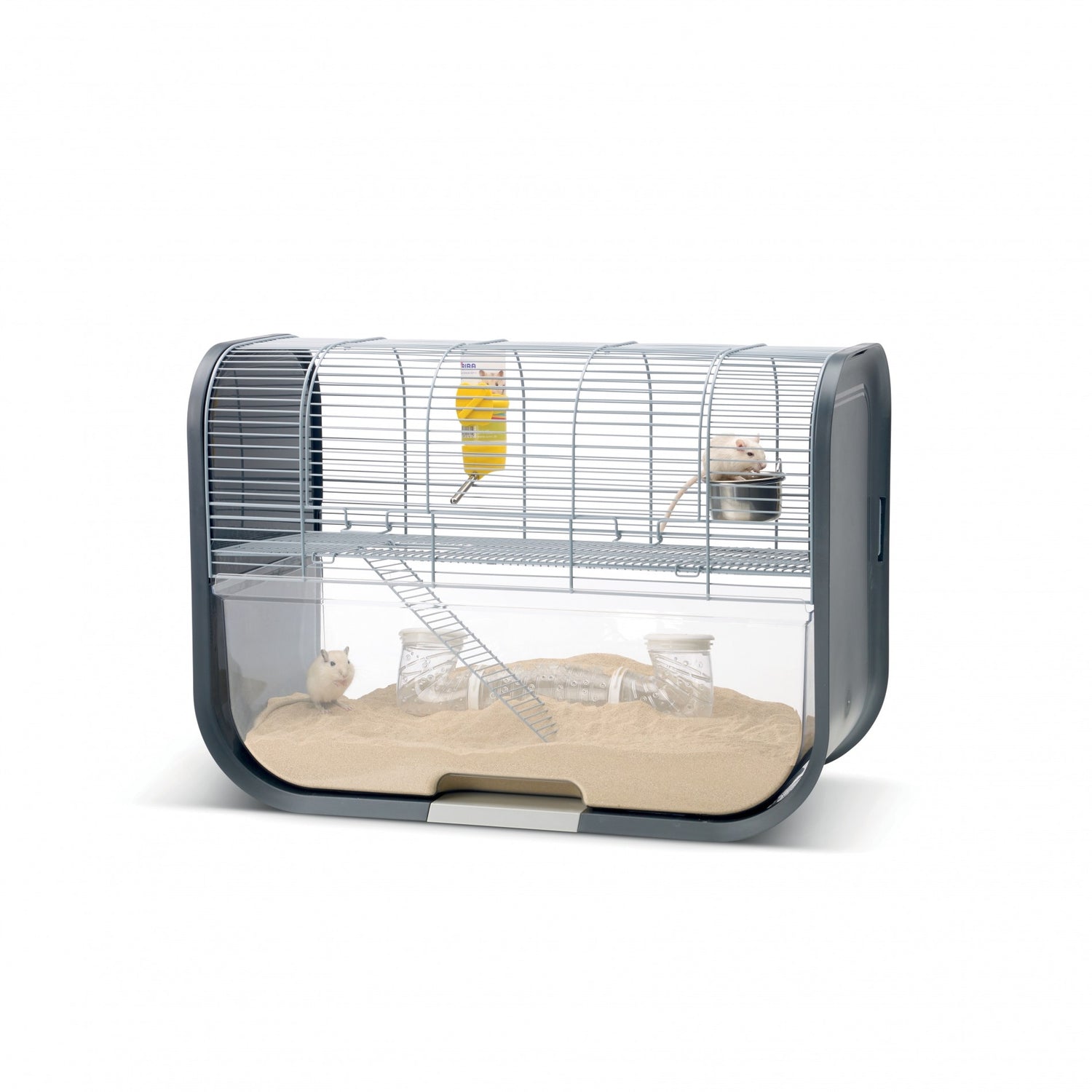 Cage Lugano