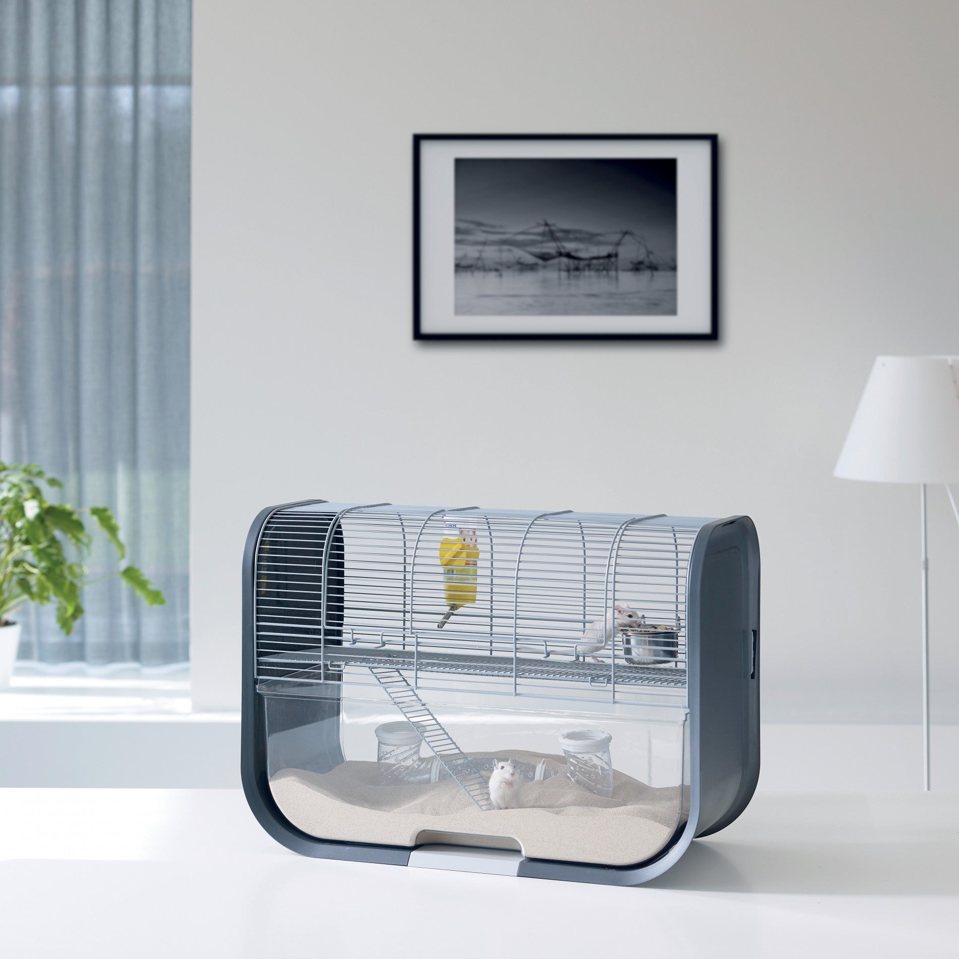 Cage Lugano