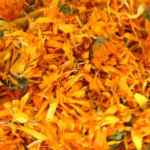 Fleurs de souci Tango