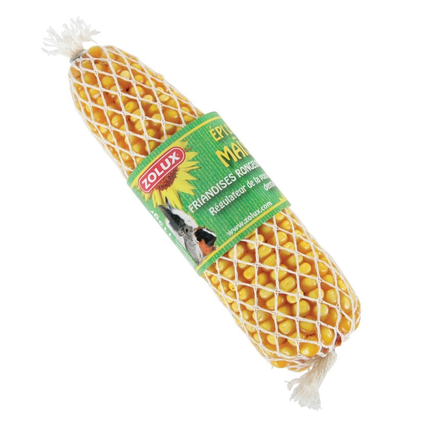 Epis de maïs