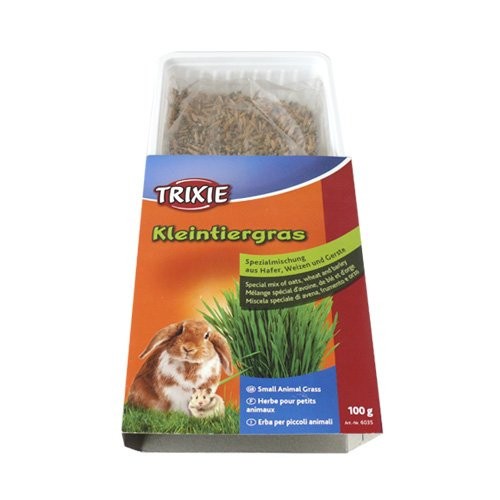 Herbe à faire pousser