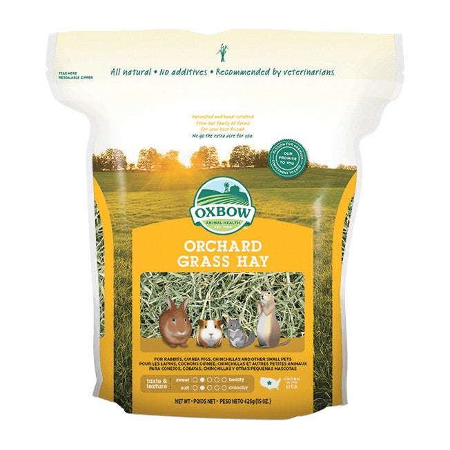 Foin Orchard Grass