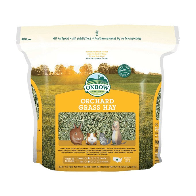 Foin Orchard Grass