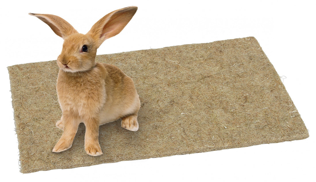 Tapis de chanvre