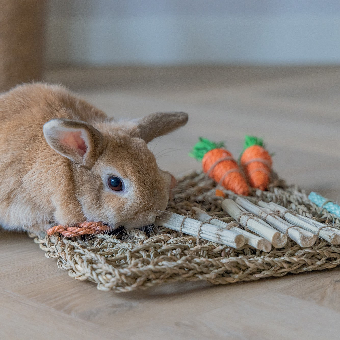 Tapis de jeu nature
