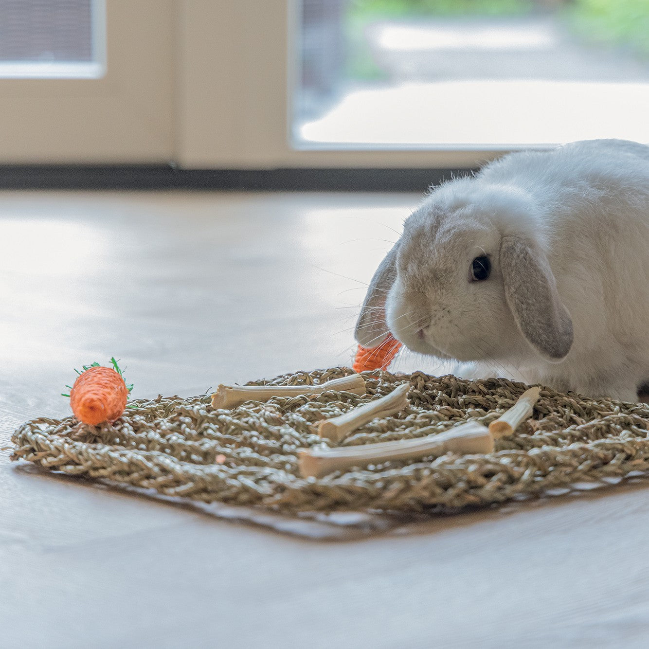 Tapis de jeu nature
