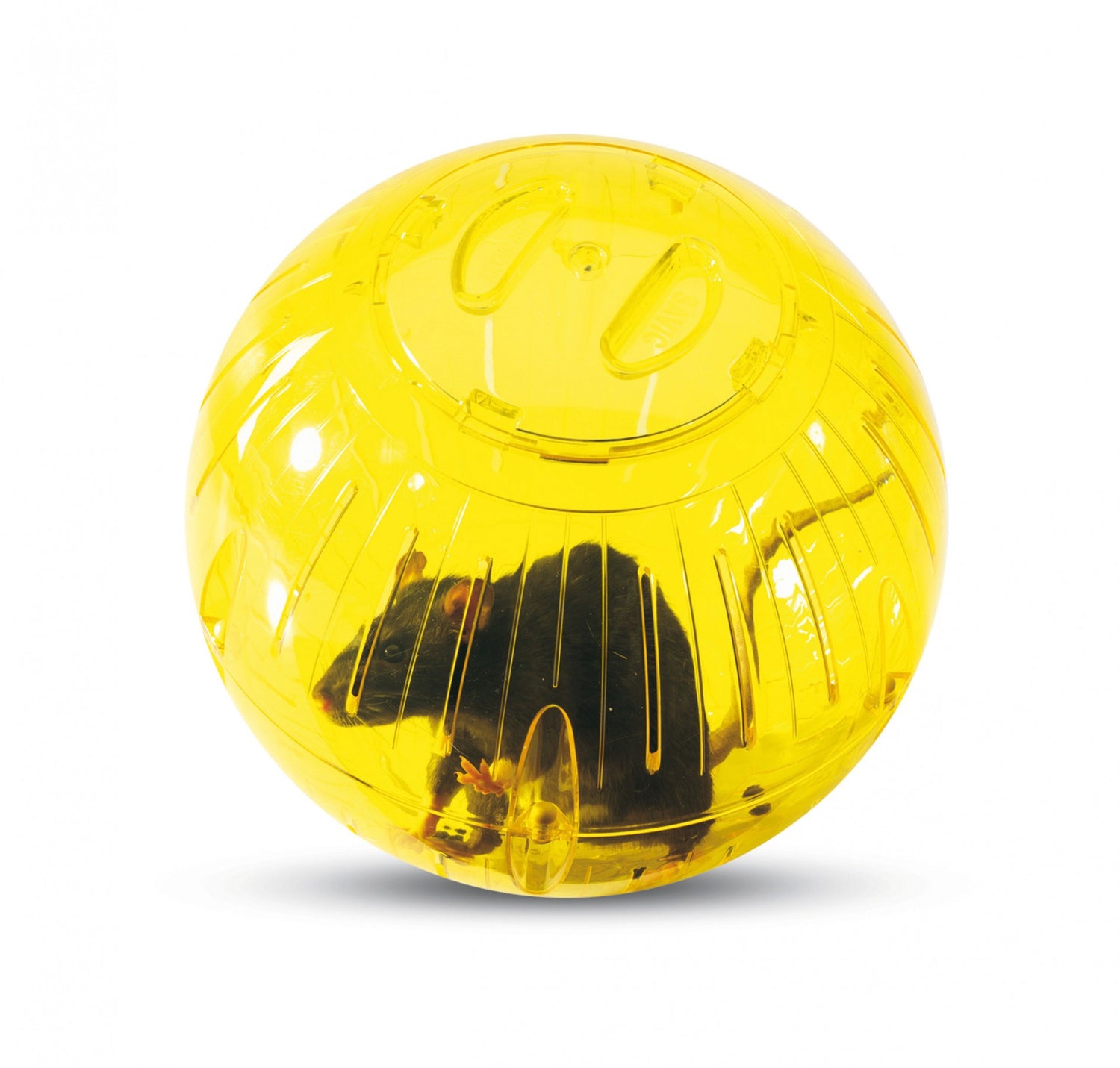 Boule d&