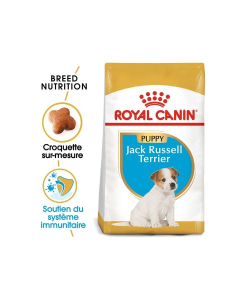 Royal Canin Jack Russell Puppy - Croquettes pour chiot