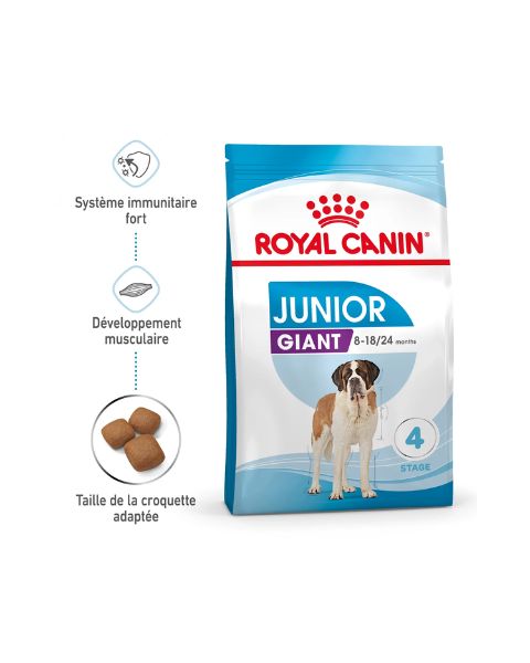 Royal Canin Giant Junior - Croquettes pour chiot