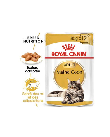 Royal Canin Maine Coon