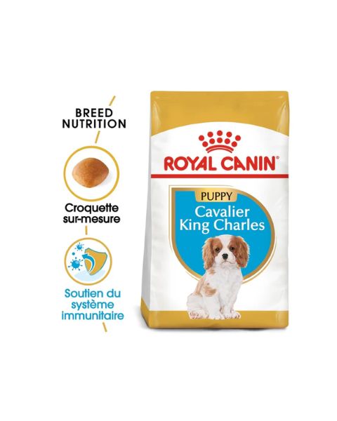 Royal Canin Cavalier King Charles Puppy - Croquettes pour chiot