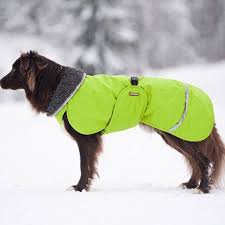 Pomppa Toppa manteau imperméable doublé pour chien