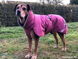 Pomppa Toppa manteau imperméable doublé pour chien