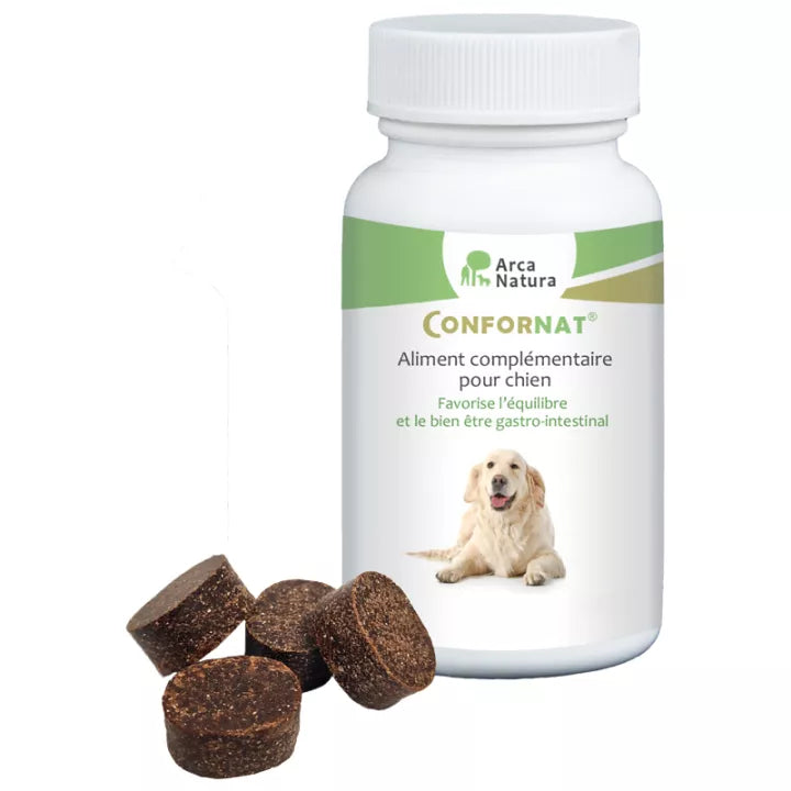 Confornat Grand Chien