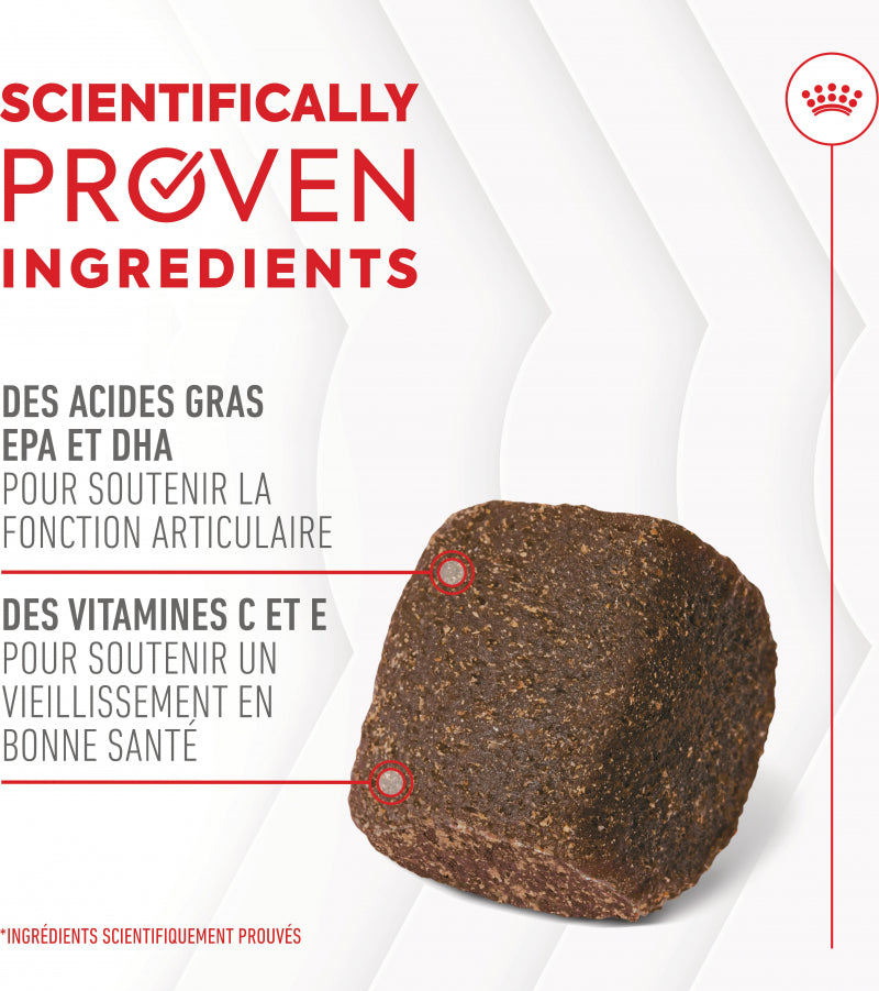 Aliment complémentaire Joint &amp; Ageing Chews pour chien