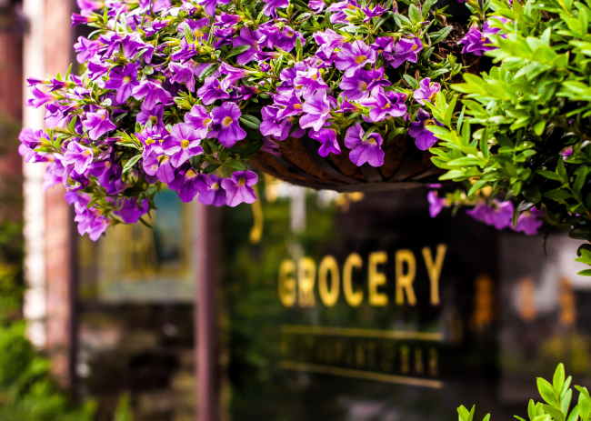 Beginner's Guide to Opening an Indian Grocery Store