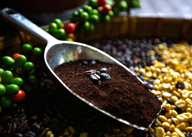4 Rare Speciality Coffee Varieties To Try RN