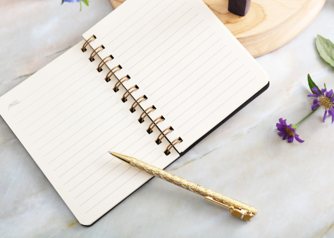 Meditation Journaling Prompts